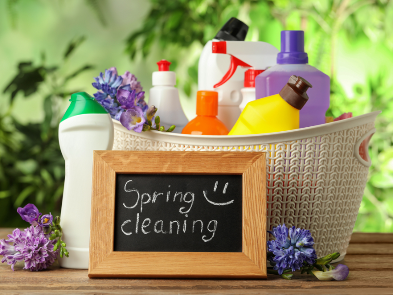Spring clean your family budget